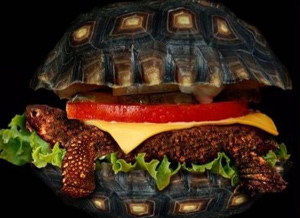 macdonal